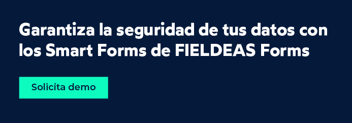 Seguridad de los datos con FIELDEAS Forms