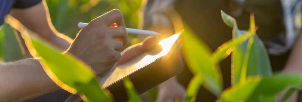 Cómo los formularios digitales impulsan el sector agroalimentario_FIELDEAS Forms