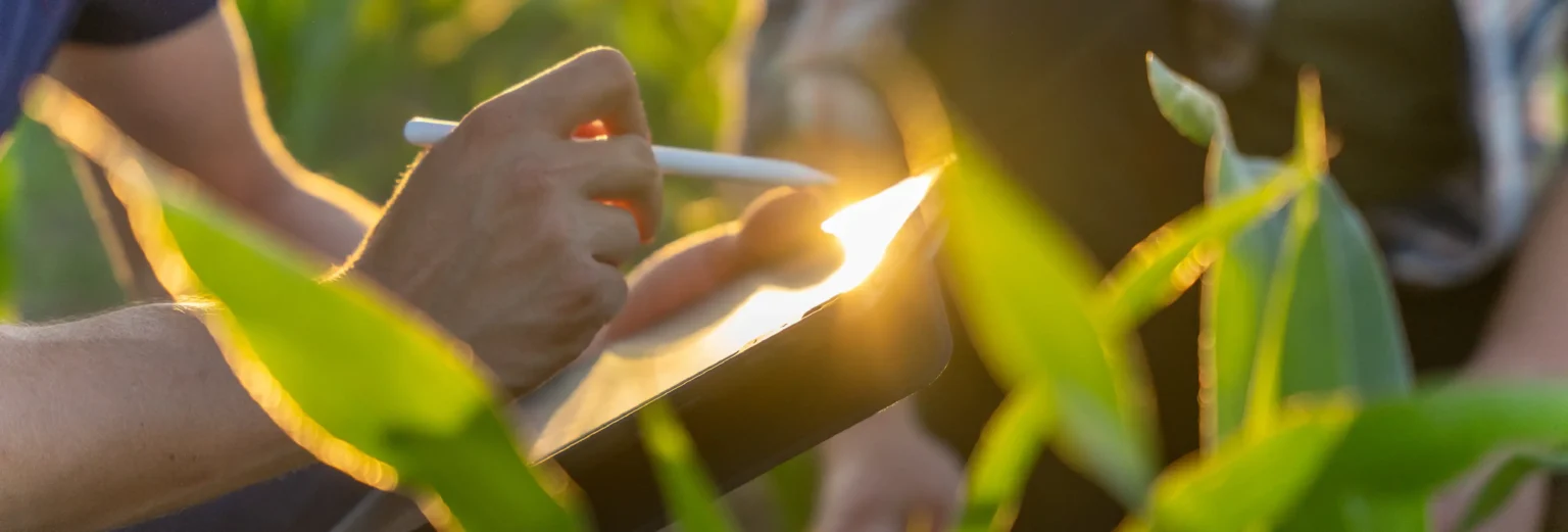 Cómo los formularios digitales impulsan el sector agroalimentario_FIELDEAS Forms